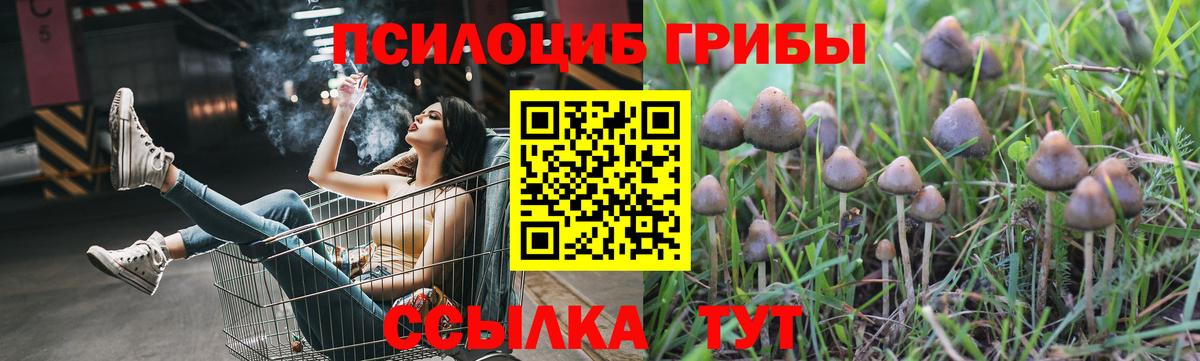 Галлюциногенные грибы мухоморы Зерноград