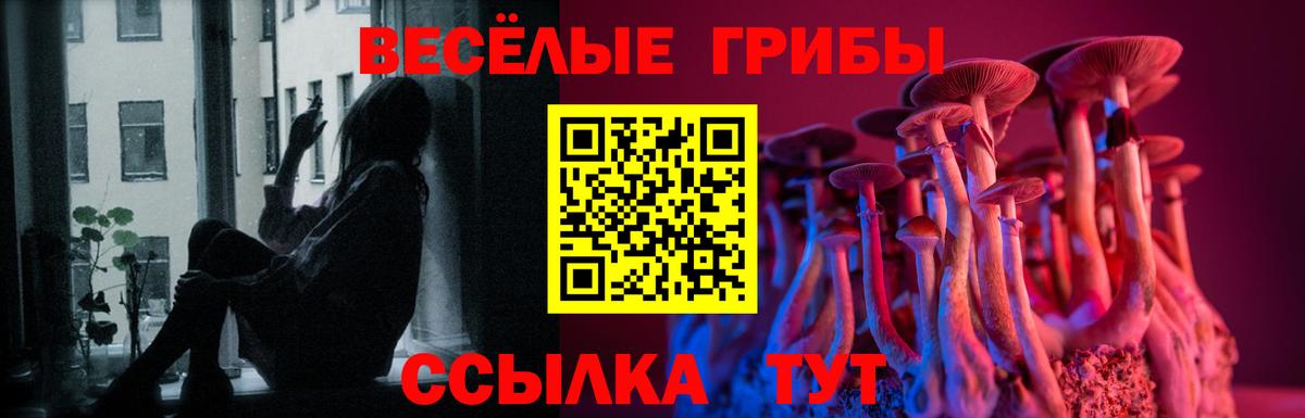 Зерноград  Псилоцибиновые грибы мицелий  Псилоцибиновые грибы Cubensis  Вход с VPN 